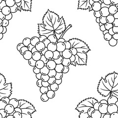 vector illustration of grapes