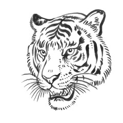 Chinese ink painting tiger lines