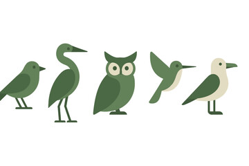 Fototapeta premium Flat design collection of stylized wild birds: owl, heron, hummingbird, and gull