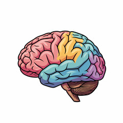 Colorful Human Brain Illustration with Distinct Lobes and Detailed Anatomy.