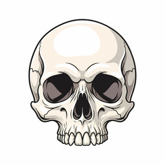 Frontal Cartoon Skull with Deep Eye Sockets and Detailed Bone Structure.