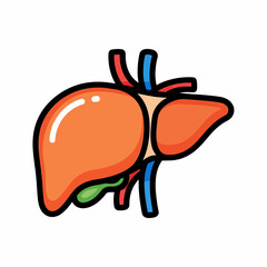 Stylized Liver Illustration with Hepatic Vein Portal Vein and Gallbladder.