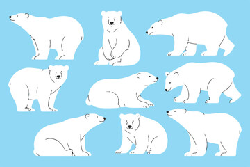 polar bear vector set nine poses cute minimal arctic animal illustrations