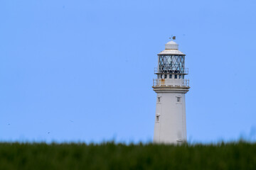 A lighthouse on a cliff