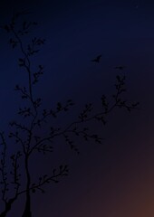 bats and moon