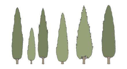 Set of hand drawn Italian cypress trees isolated on white background.