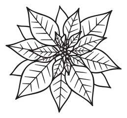 Obraz premium Black and outline drawing of a symmetrical poinsettia flower with detailed veined leaves and petals.