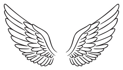 Fototapeta premium Black outline drawing of a pair of intricately detailed angel wings with extended feathers on a .