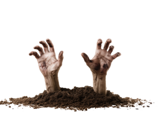 Close-up of two pale hands emerging from dark soil on transparent background