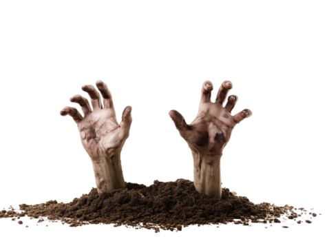 Close-up of two pale hands emerging from dark soil on transparent background