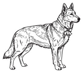 Fototapeta premium Detailed black and sketch of a german shepherd dog wearing a bow, showcasing its alert stance and distinctive fur patterns.
