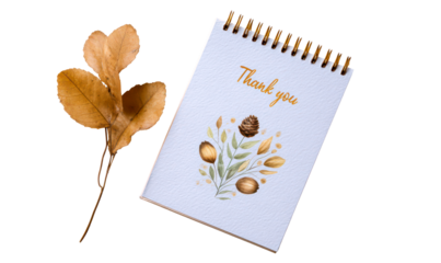 Elegant Thank You Note with Nature Elements and Dry Leaves Isolate on Transparent Background, cutout, png