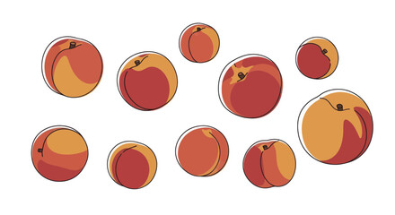 Collection of stylized illustrated peaches on a white background.