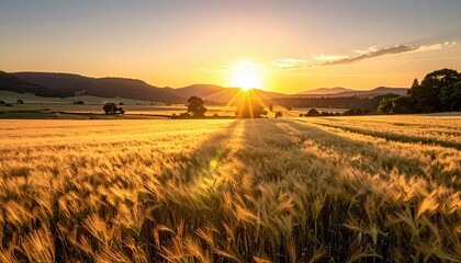 A golden field of wheat stretches towards the horizon under a vibrant sunset, framed by gentle hills and trees, showcasing nature's beauty.