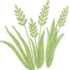Watercolor Green Grass and Leaves Illustration, Botanical Clipart