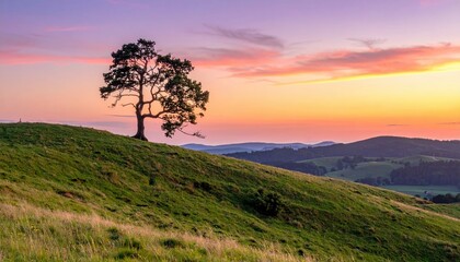 Obraz premium A solitary tree stands on a hill, silhouetted against a vibrant sunset that bathes the landscape in warm hues.