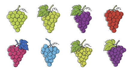 Collection of colorful grape bunches vector illustration set.