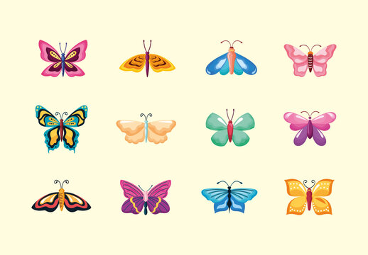 Butterflies Illustration Set