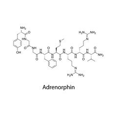 Fototapeta premium Adrenorphin molecular structure, endogenous opioid-like peptide with analgesic and neuromodulatory activity, clean scientific vector diagram, flat skeletal chemical formula isolated 