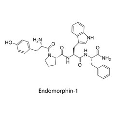 Fototapeta premium Endomorphin-1 molecular structure, endogenous tetrapeptide potent ?-opioid receptor agonist analgesic neuropeptide, clean scientific vector diagram, flat skeletal chemical formula isolated 