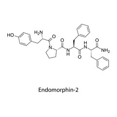 Endomorphin-2 molecular structure, endogenous tetrapeptide potent ?-opioid receptor agonist analgesic neuropeptide, clean scientific vector diagram, flat skeletal chemical formula isolated 