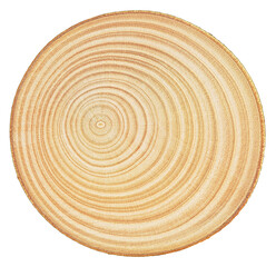 Round saw cut isolated on a white background, close up. Round piece of wood in cross section. Detailed organic surface.