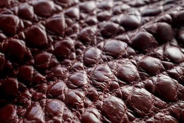 Crocodile Leather Tanned Brown Exotic Skin Material