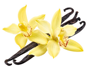 Two vanilla pods nestled among vibrant yellow orchids