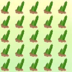 vector illustration of a cactus