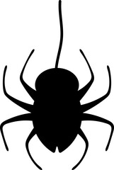 spider