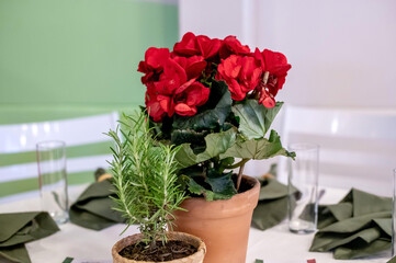 Table with red flower and rosemary arrangement