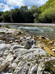 Scenic River and Alpine Forest. Majestic Mountain View with Pure Nature and Timeless Beauty