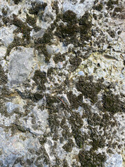 Weathered Stone Wall Texture Showing Cracks and Natural Vertical Patterns