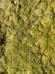 Natural Stone Background, Abstract Texture Pattern