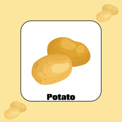 Illustrated potato for learning and cooking guide