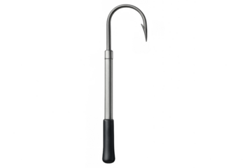 Fishing gaff tool with hook catching fish