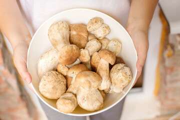 Hands holds a bowl with porcini. Organic Boletus Preparation for Cooking, Healthy Seasonal Food, Vegetarian Diet Ingredient, Rustic Culinary and Gourmet Harvest.Selective focus