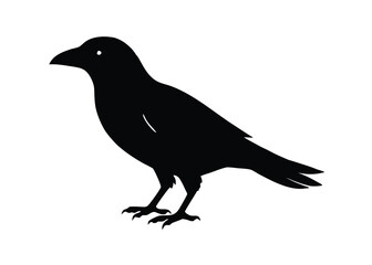 dark shadow crow silhouette vector icon