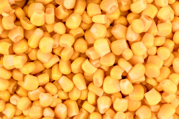 Yellow Canned Grain Corn Background