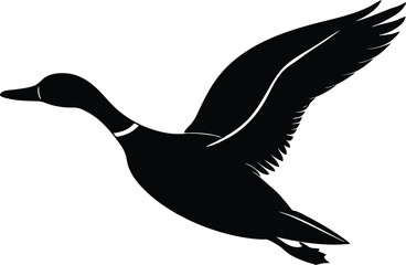 The duck is soaring silhouette vector