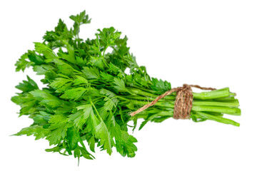 Fresh bunch of parsley tied with rope, isolated on white background. Organic green herb for cooking, garnish, salad, seasoning, and healthy diet ingredient