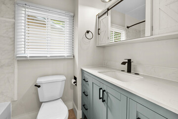 Bathroom with a white toilet and a blue vanity with a black handle