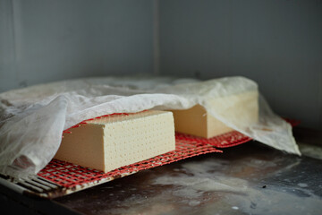 Blocks of fresh tofu or artisan cheese resting on red mesh mat partially covered with cloth, showing smooth texture and porous surface, positioned on stainless steel surface in food preparation area