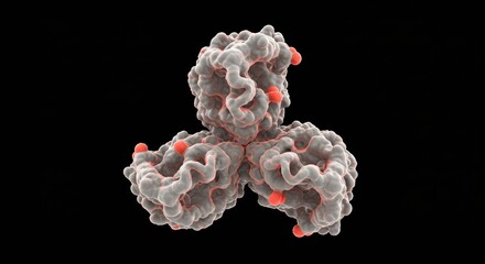 Cryo Electron Microscopy 3D Model of Coronavirus Spike Protein Receptor Binding Domain

