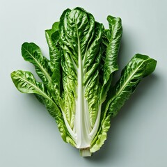 "Vibrant Fresh Green Romaine Lettuce with Crisp Leaves and Prominent White Stem, Captured on a Minimal Background to Showcase Natural Texture, Wholesome Nutrition, and Organic Beauty, Representing Hea