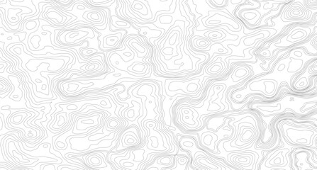 Grey topographic lines. Texture of lines. pattern shape in organic wood on white and transparent background,