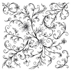 vector illustration of a floral ornament