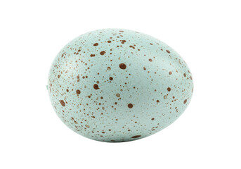 Speckled bird egg isolated on transparent background, light blue egg with brown spots PNG