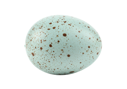 Speckled bird egg isolated on transparent background, light blue egg with brown spots PNG - Powered by Adobe