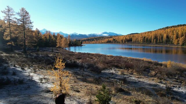 flight in Gorny Altai in autumn, Russia September
